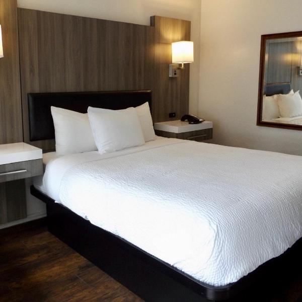 King’s Inn