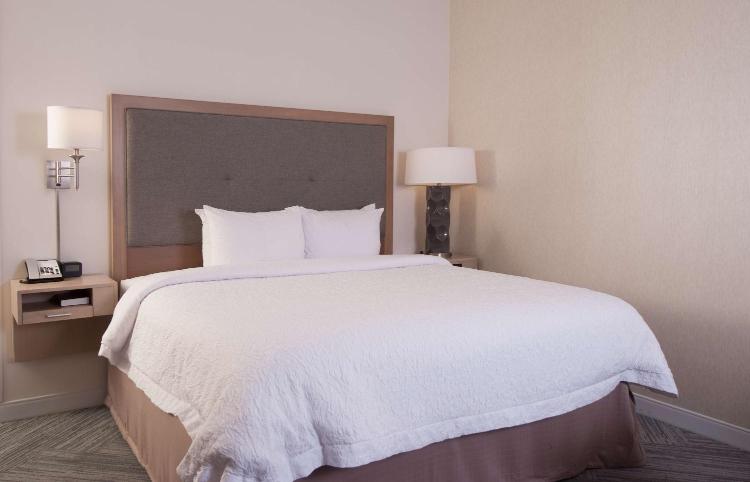 Hampton Inn & Suites by Hilton Augusta-Washington Rd photo 3