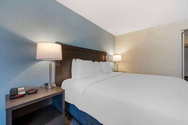 Best Western Plus Alexandria Fort Belvoir photo 3