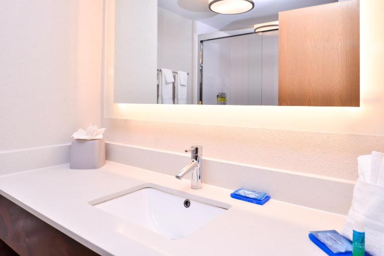 Holiday Inn Express Hotel & Suites Tampa-Anderson Road-Veterans Exp by IHG photo 3