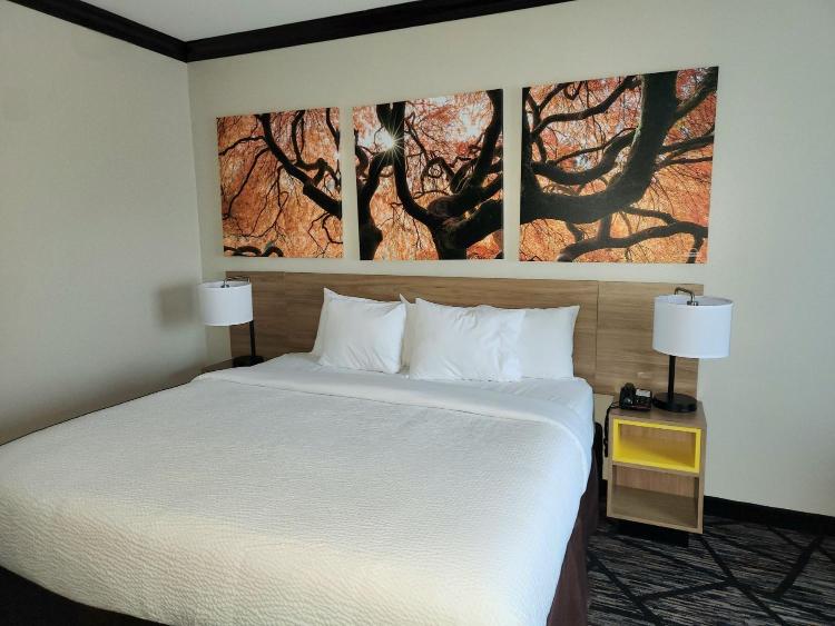 Days Inn by Wyndham Baton Rouge I-10 photo 2