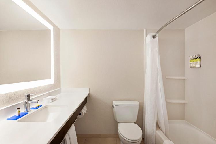 Holiday Inn Express & Suites Sarasota East by IHG photo 3