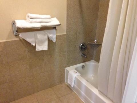 Executive Inn and Suites Houston photo 1