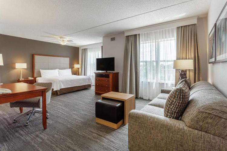 Homewood Suites by Hilton Albany photo 1