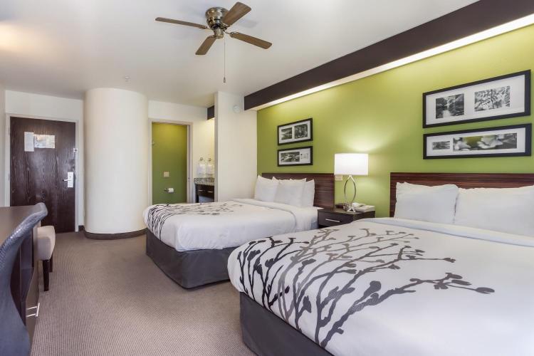 Sleep Inn Little River - North Myrtle Beach photo 3