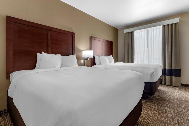 Comfort Inn & Suites Near Lake Lewisville photo 2