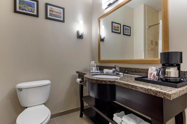 Comfort Inn & Suites Near Lake Lewisville photo 3