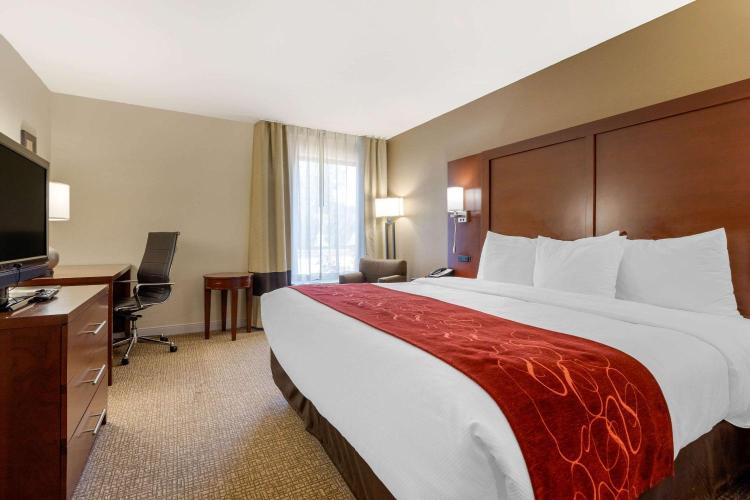 Comfort Inn & Suites Macon West photo 1