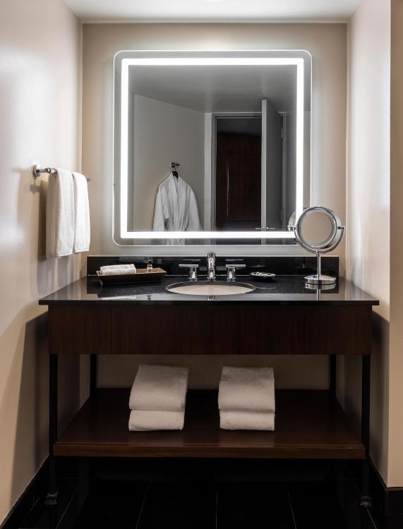 Hyatt Regency Houston Downtown photo 2