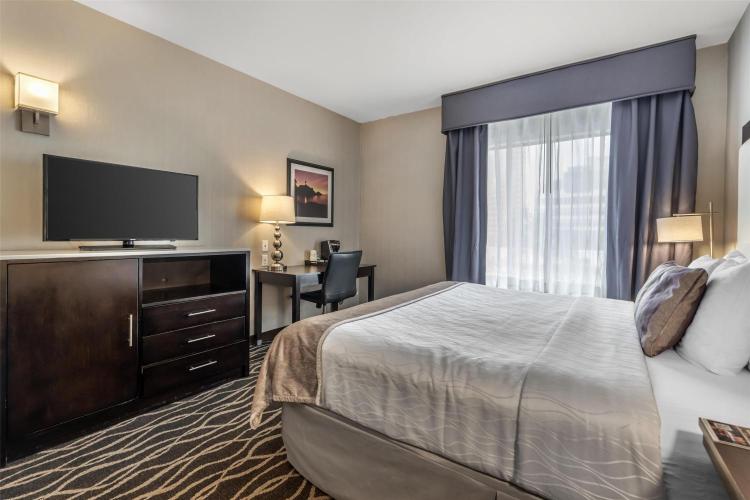 Best Western Plus Hotel at the Convention Center photo 3
