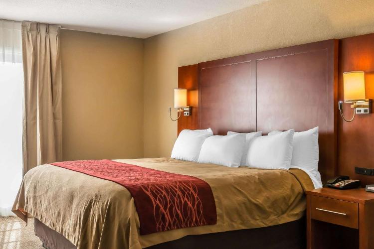 Comfort Inn photo 1