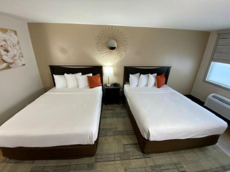 Stanford Inn & Suites Anaheim photo 3