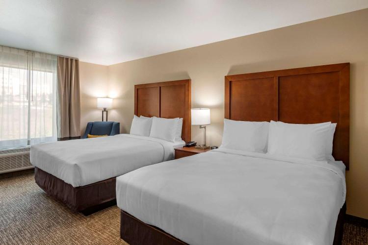 Comfort Inn & Suites photo 2