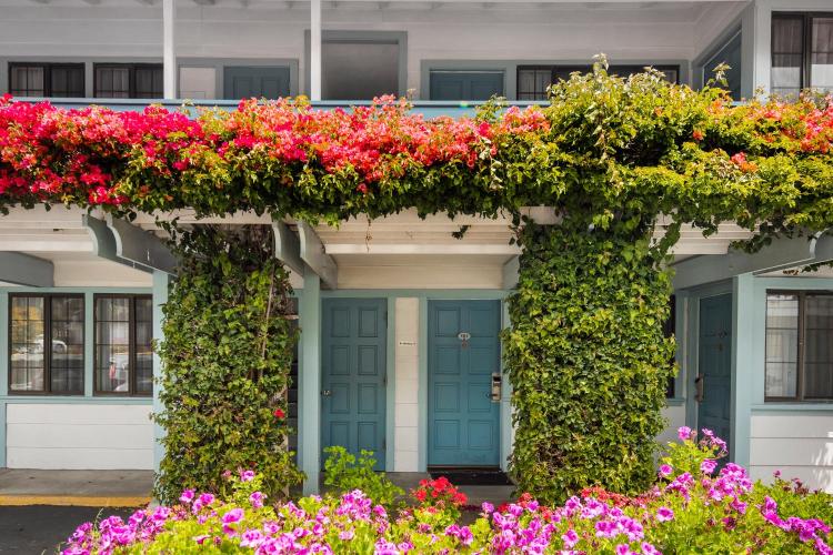 Arbor Inn Monterey photo 2