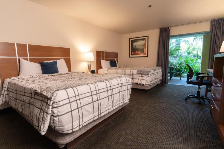 Lemon Tree Inn photo 2