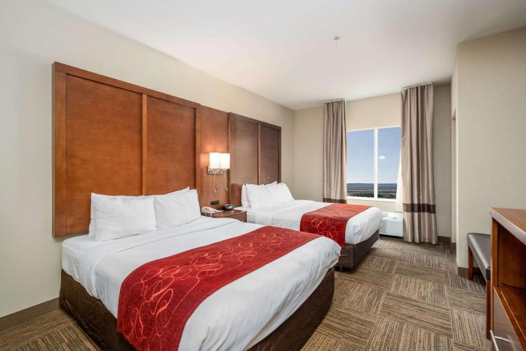 Comfort Suites University photo 2